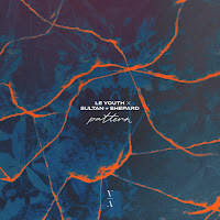 Le Youth - Pattern (Extended Mix) Ft Sultan + Shepard & Emily Falvey загрузить